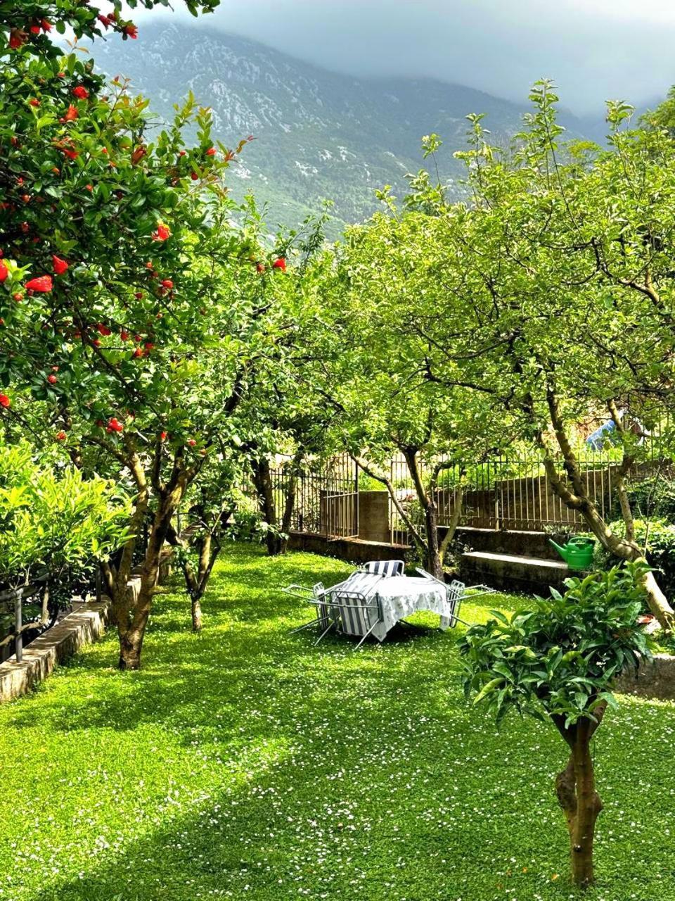 Apartments Andrija Kotor Luaran gambar